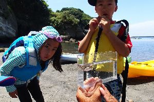 家族で楽しむ南伊豆の磯観察