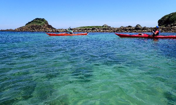 南伊豆の海岸線を漕ぐシーカヤックツアー