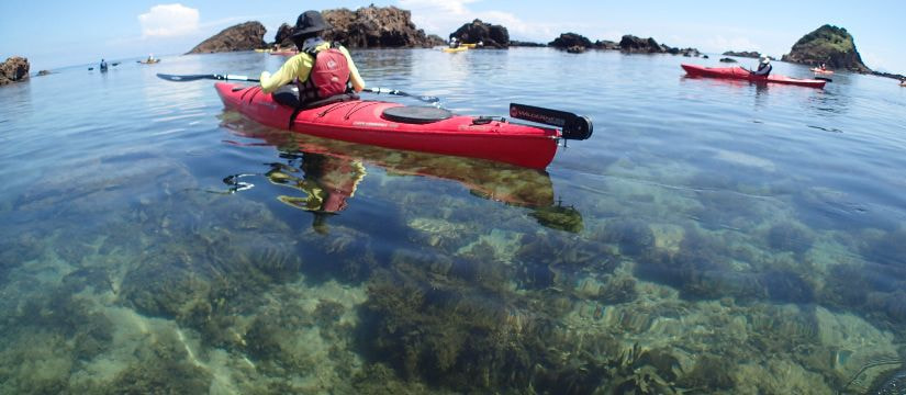 English sea kayaking tours in Minami Izu