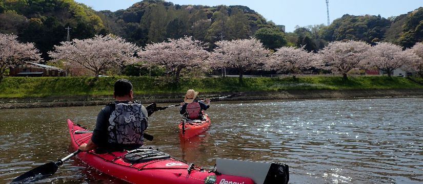 English sea kayaking tours in Minami Izu