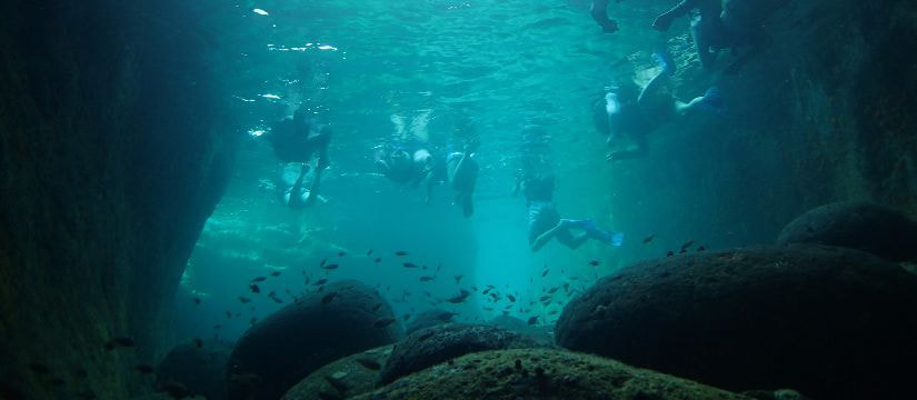 English sea kayaking tours in Minami Izu