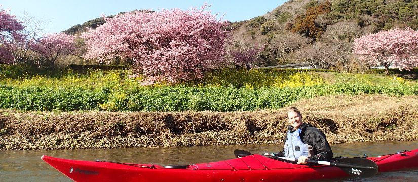 English sea kayaking tours in Minami Izu