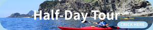 Half Day sea kayaking tour in Minami Izu