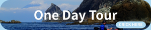 Sea kayaking tour for experienced paddlers in Izu