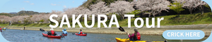 Seasonal sea kayaking tours in Izu