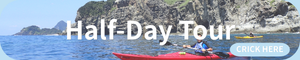 Half Day sea kayaking tour in Minami Izu