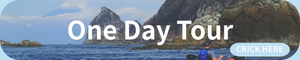Sea kayaking tour for experienced paddlers in Izu