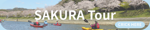 Seasonal sea kayaking tours in Izu